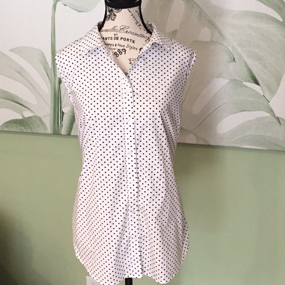 Premise Studio Black & White Blouse Size XL